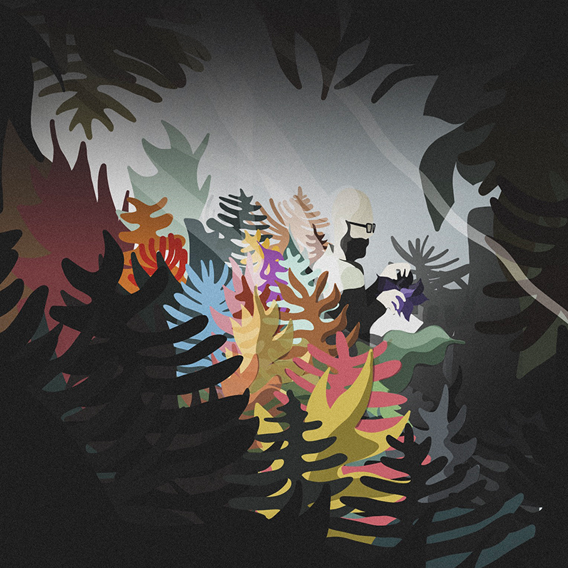 Selvàtic i Cartolines...