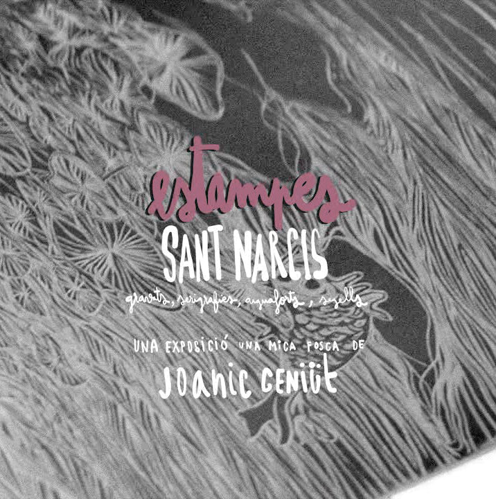 Estampes de Sant Narcís