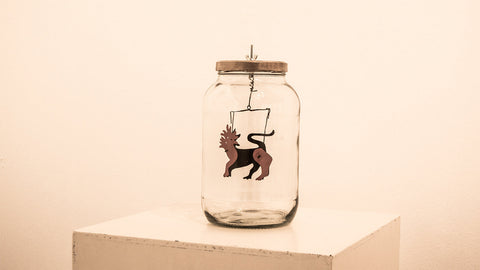 Exposicions