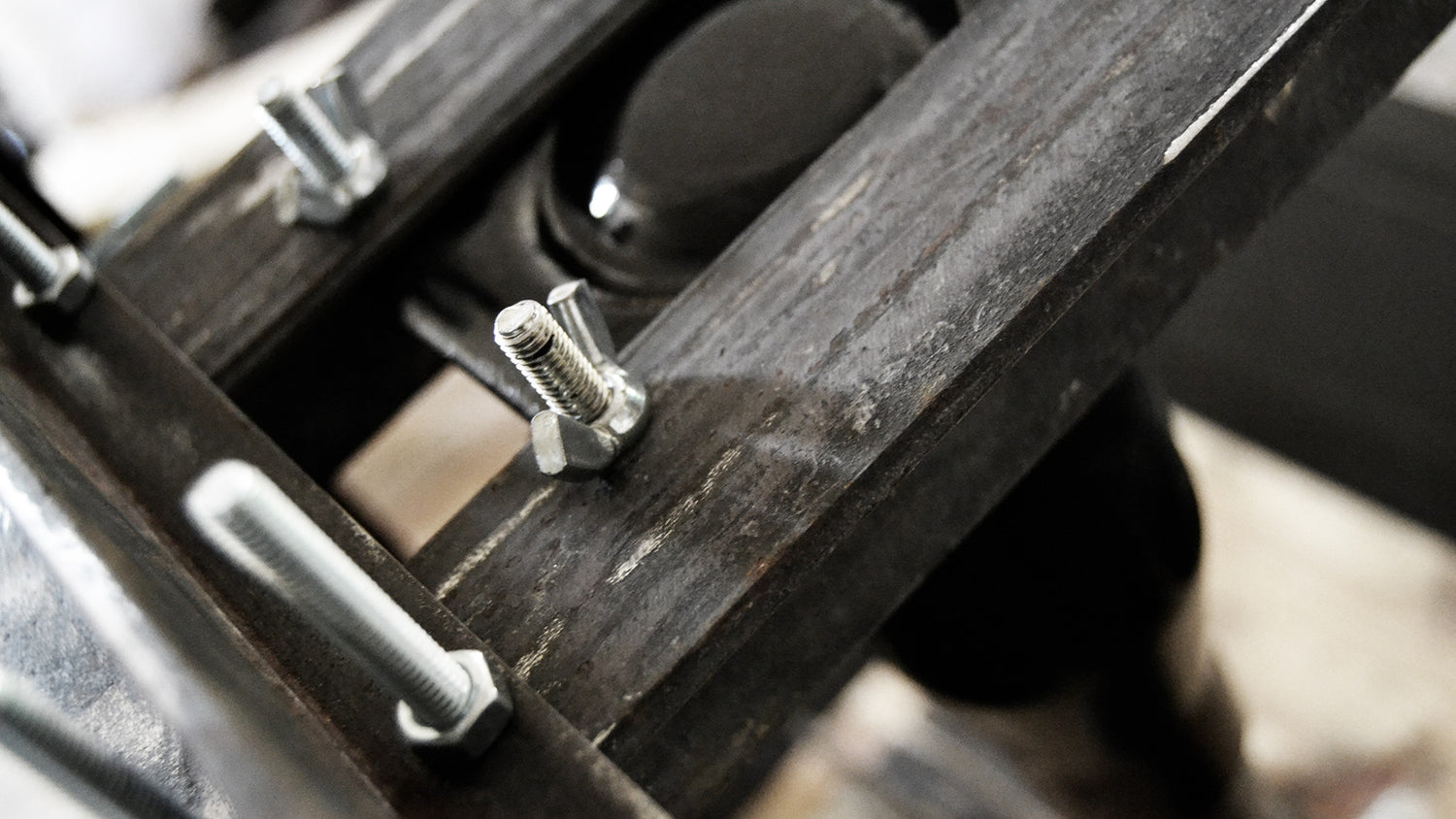 La qualitat opressiva d'un gat