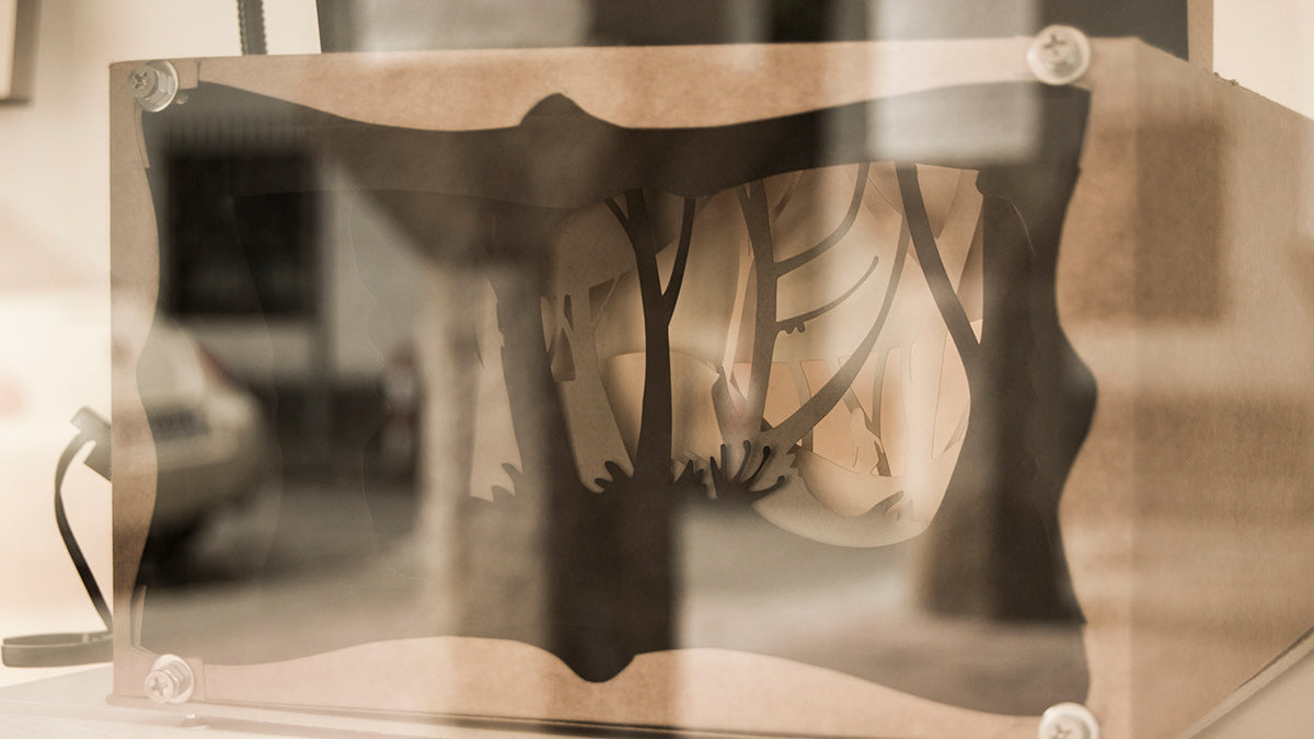 Llums i ombres a La Volta